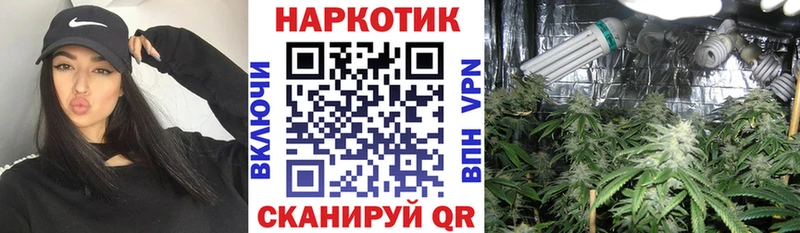 Сколько стоит Жуковка ГАШ  Бошки Шишки  Cocaine  Галлюциногенные грибы  Экстази  СК  Мефедрон 