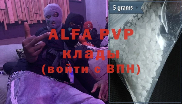 винт Анива