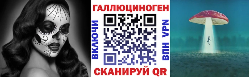 Галлюциногенные грибы Psilocybine cubensis  Жуковка 